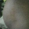 foto do perfil tiozinho55